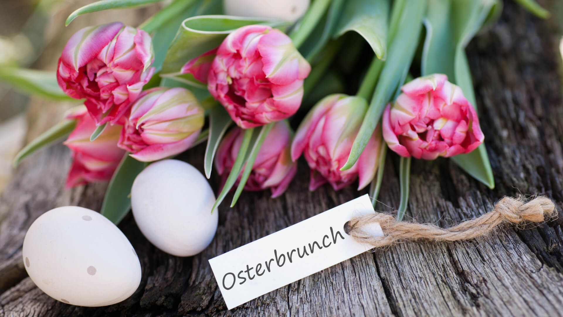 Frühlingshafte Tulpen mit Ostereiern auf Holz, dazu ein Schild mit der Aufschrift ‚Osterbrunch‘ – einladendes Oster-Motiv.